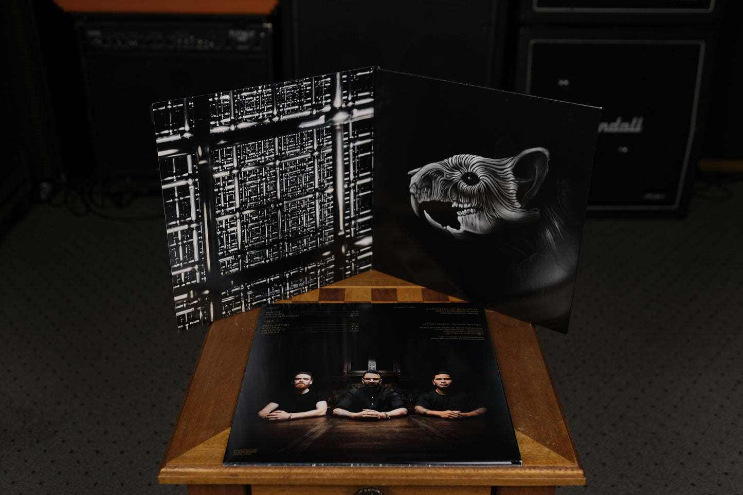 Flavour In The Dark Areas - VINYL