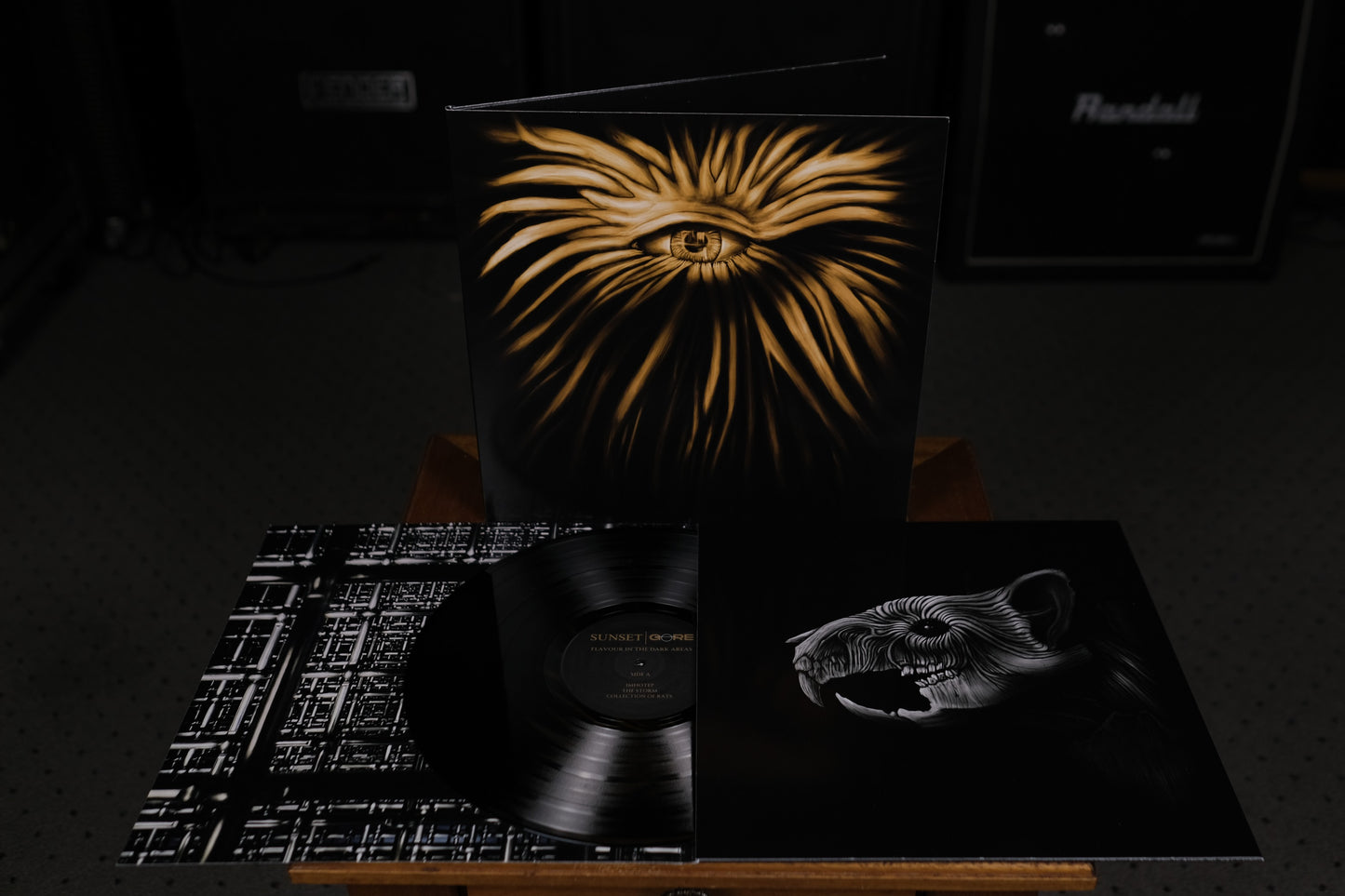 Flavour In The Dark Areas - VINYL
